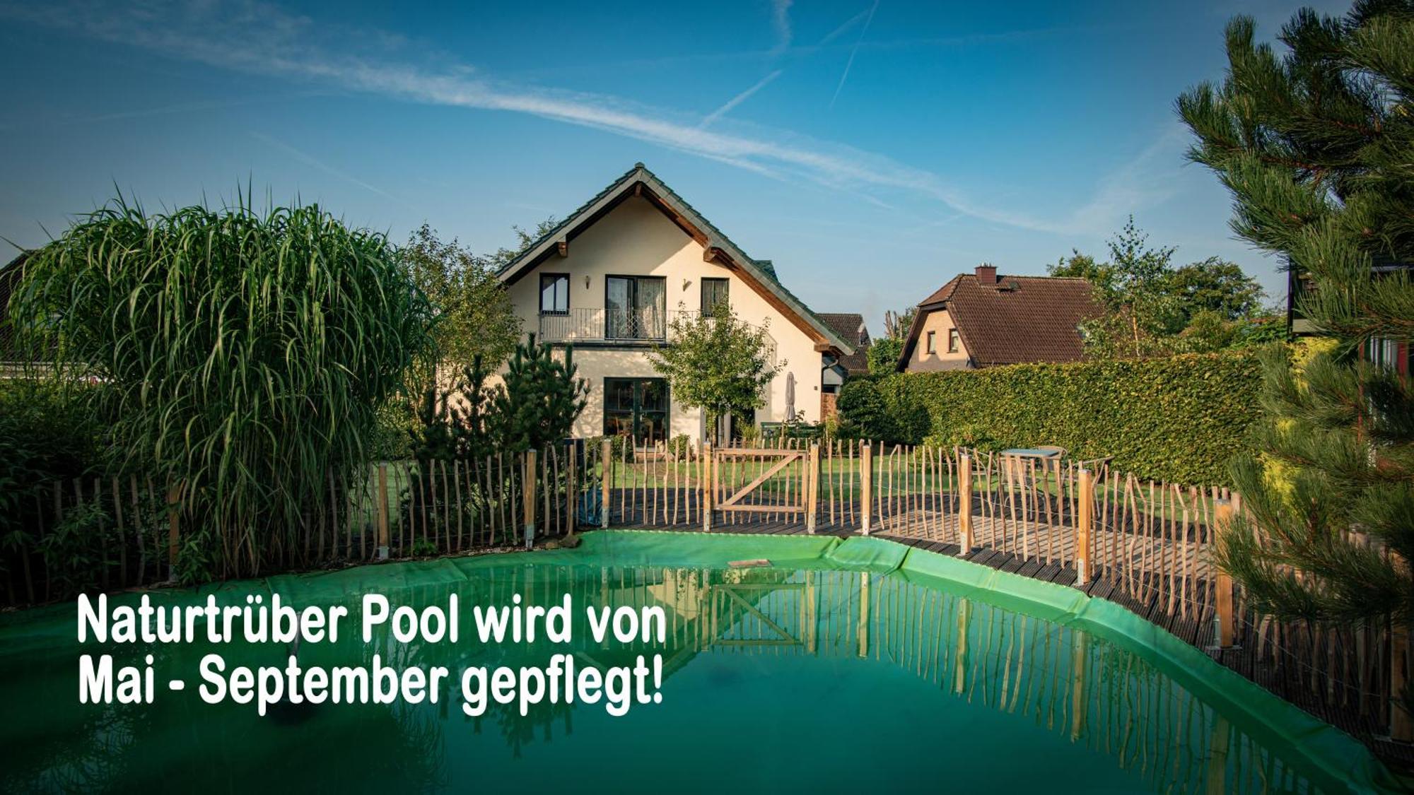 Ferienhaus Mountfrosch Mit Sauna Und Naturpool مونشاو المظهر الخارجي الصورة